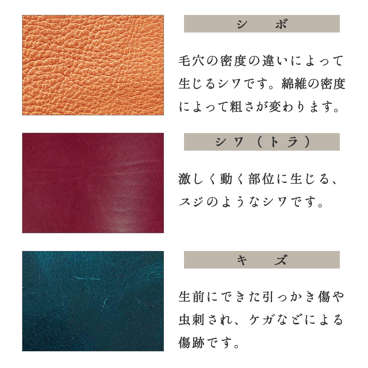 【財布の百貨店公式】 本革 蛇腹 カードポケット付き 財布 長財布 ラウンド型ファスナー 牛革 メンズ レディース ジェントルマン | 艶のある上品な牛ヌメ革を使用 【安心の返品保証付き】